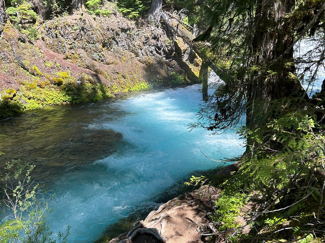 Sahalie and Koosah Falls-Sisters必去景点