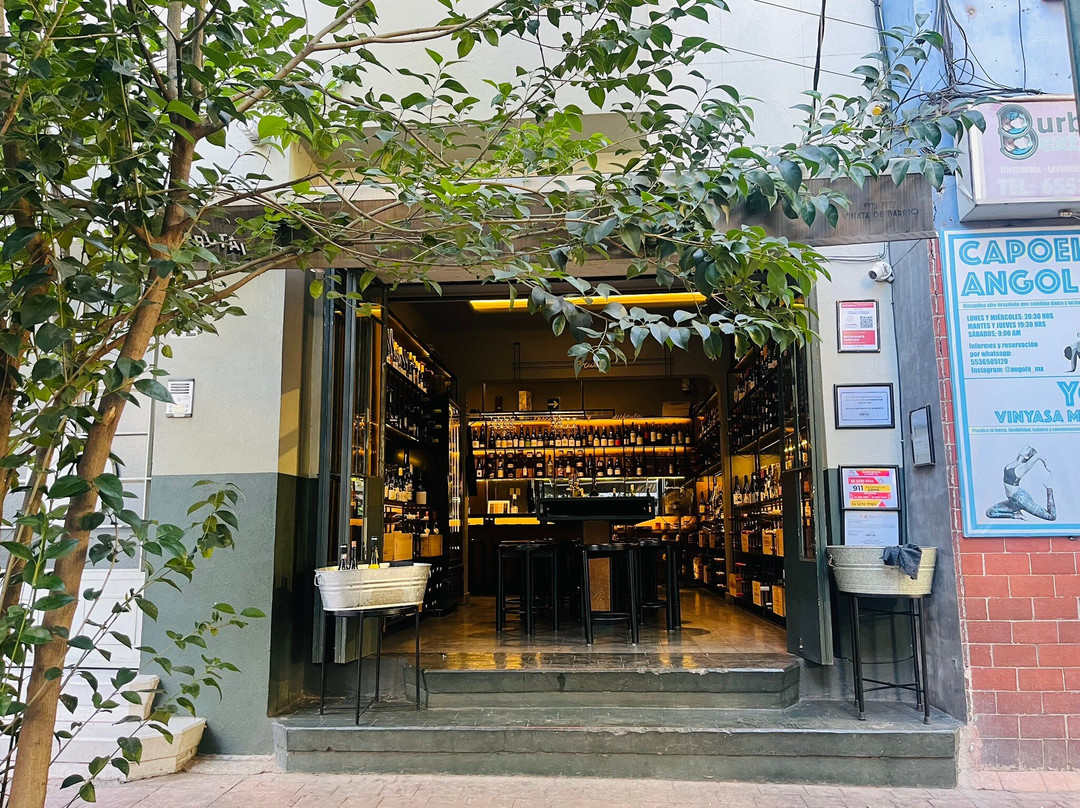 Brutal Vinata De Barrio Cdmx