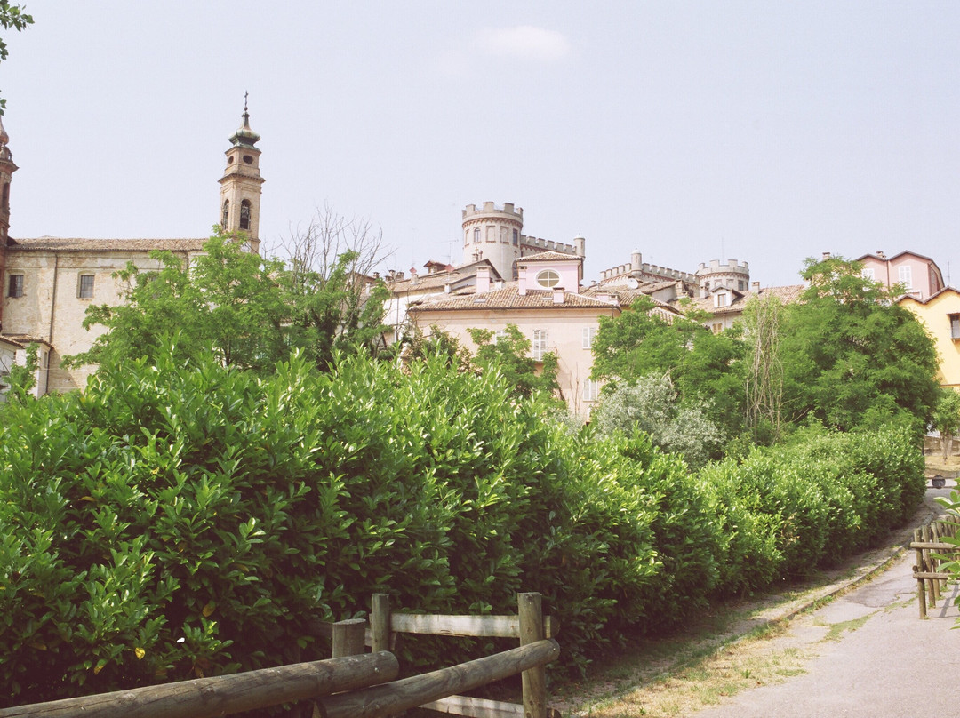 Castello di Costigliole景点图片