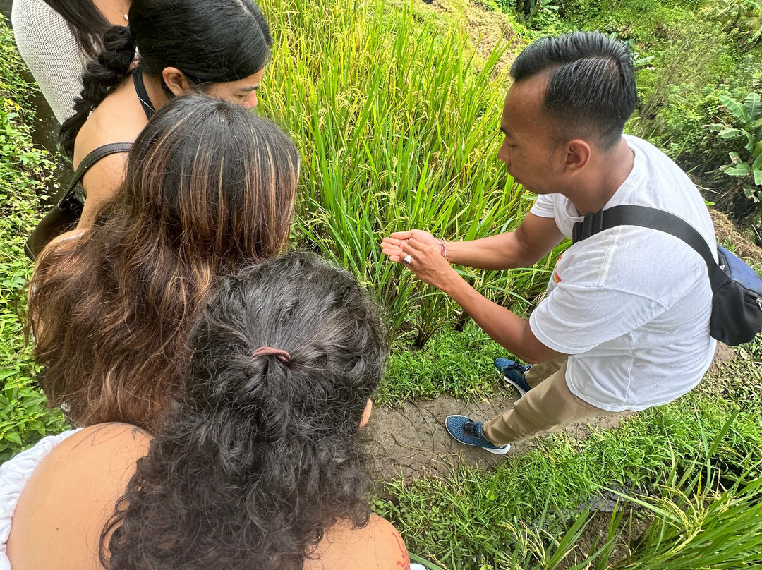 Bali Culture Tours景点图片
