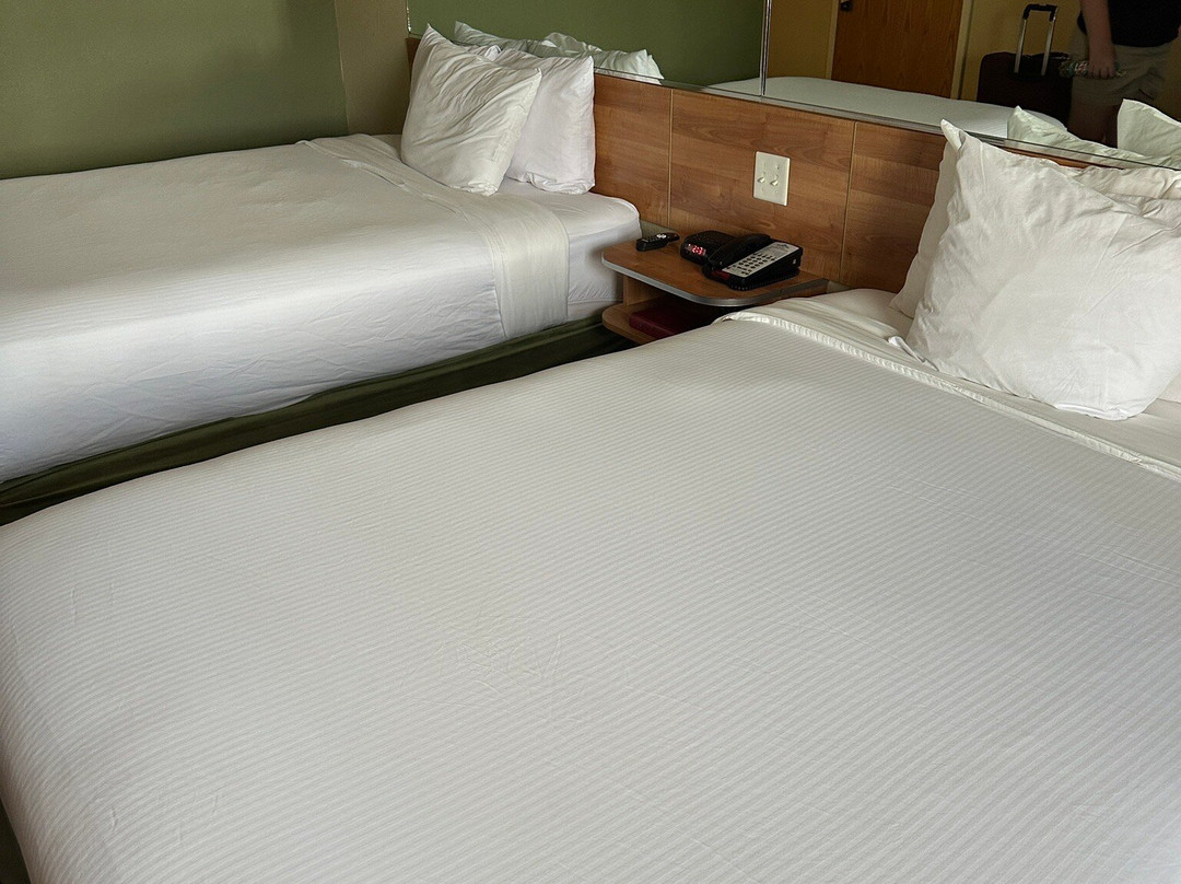 Microtel Inn & Suites by Wyndham Saraland / North Mobile主图