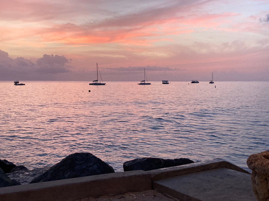 Coral Reef Club主图