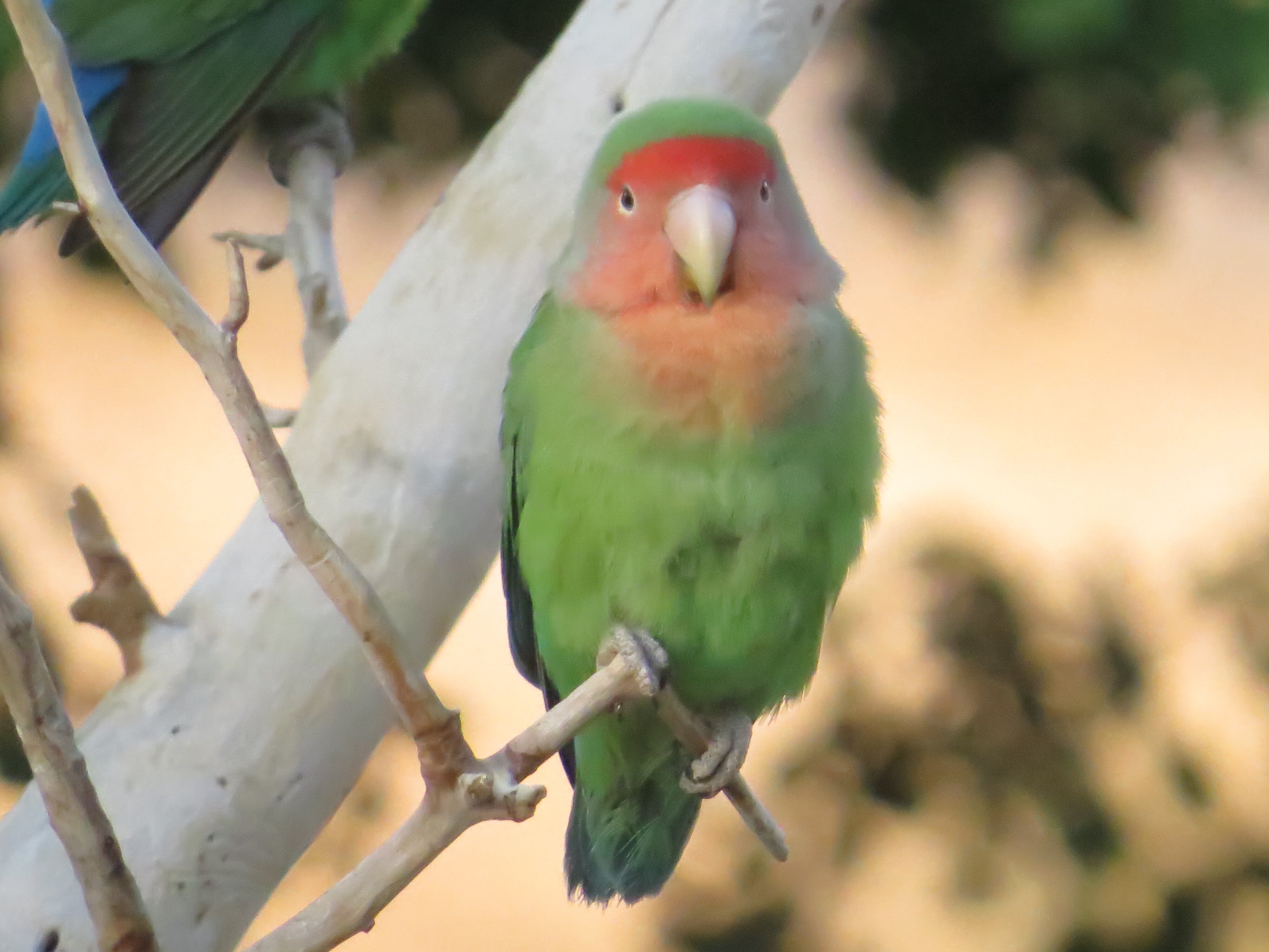 Weltevrede Guestfarm-浴室