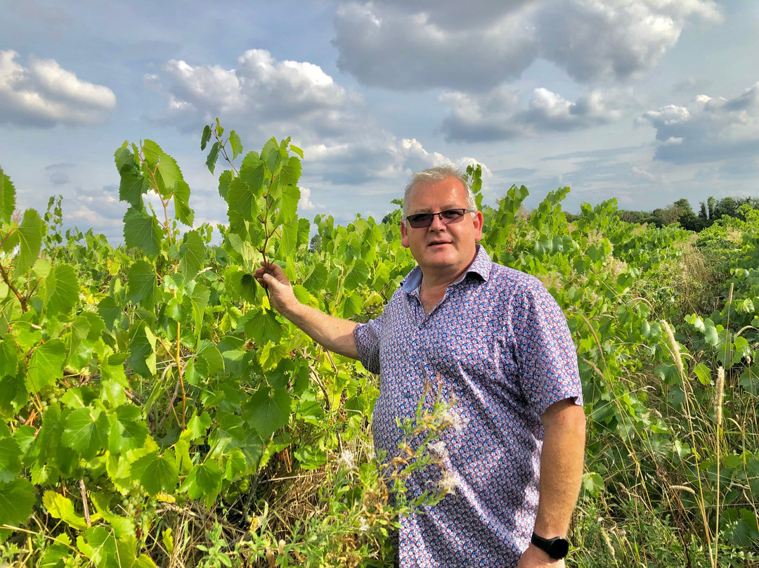Mayfield Vineyard,lincolnshire-Sleaford必去景点