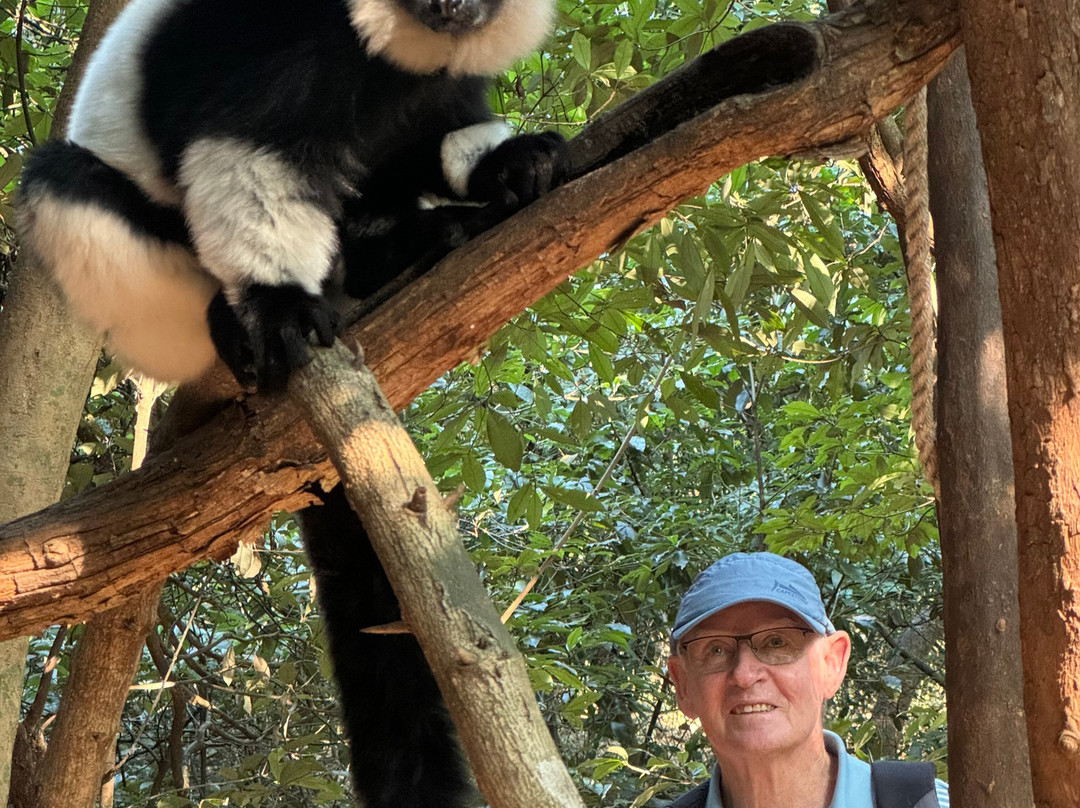 The Hidden Forest Wildlife Sanctuary-巴利托必去景点