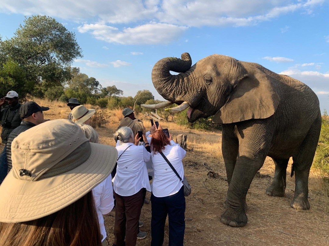 Adventures with Elephants-贝拉贝拉必去景点