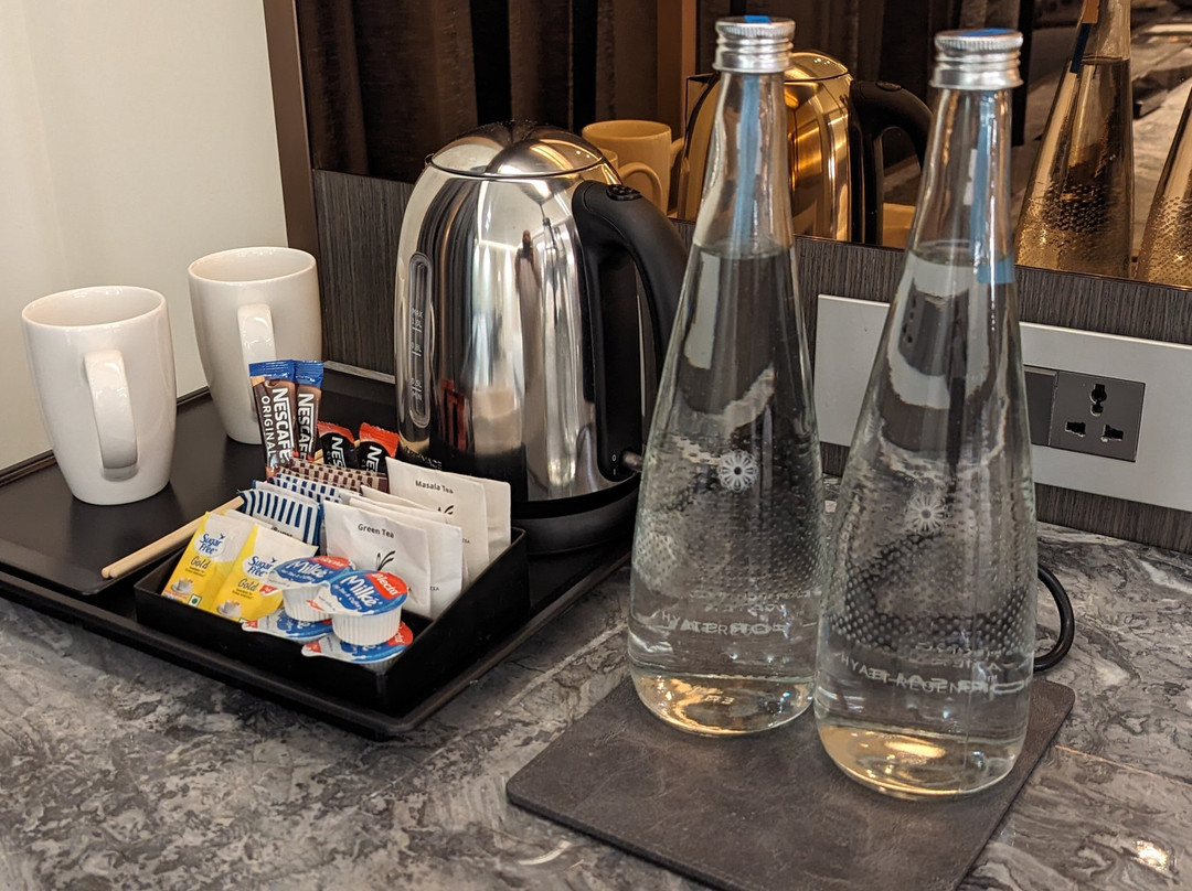 Hyatt Regency Jaipur Mansarovar主图