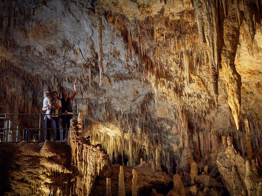 Mammoth Cave景点图片