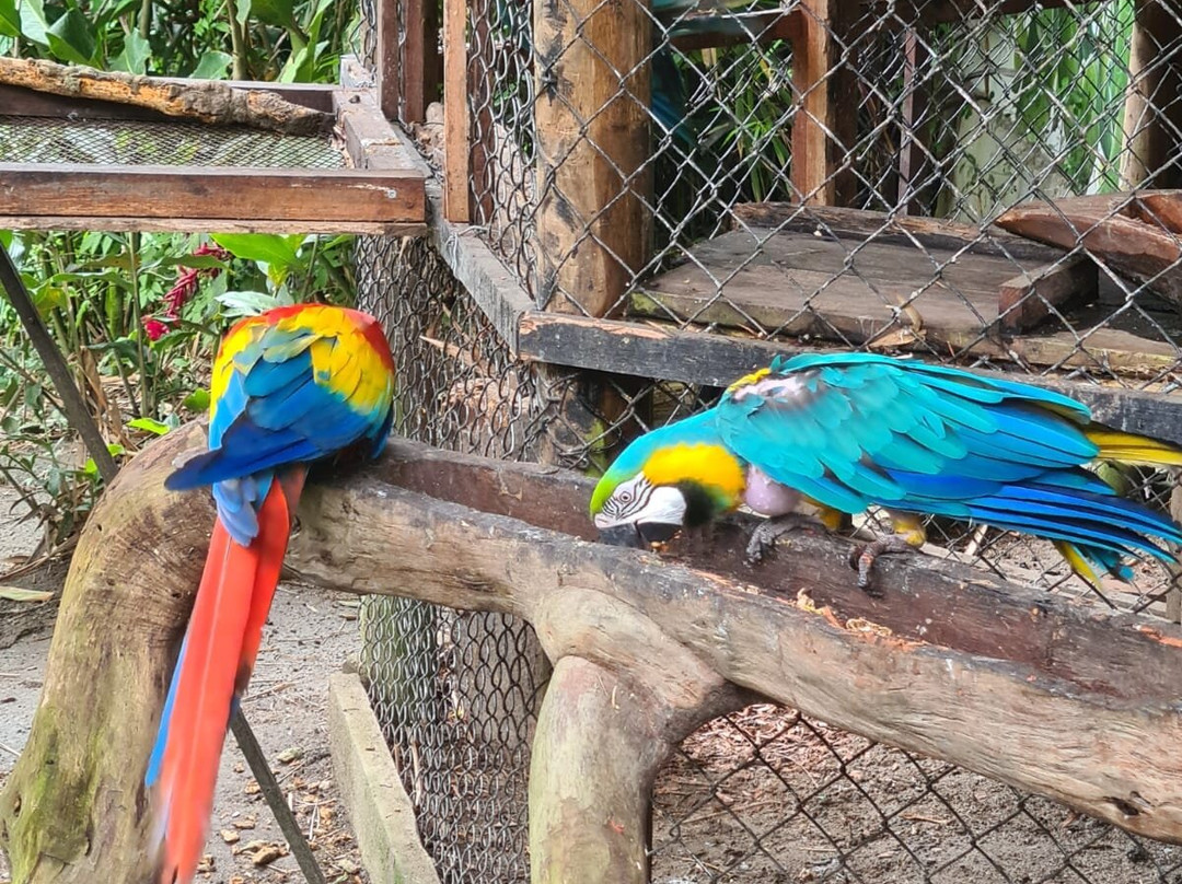 Reserva Natural Tierra Adentro Country House主图