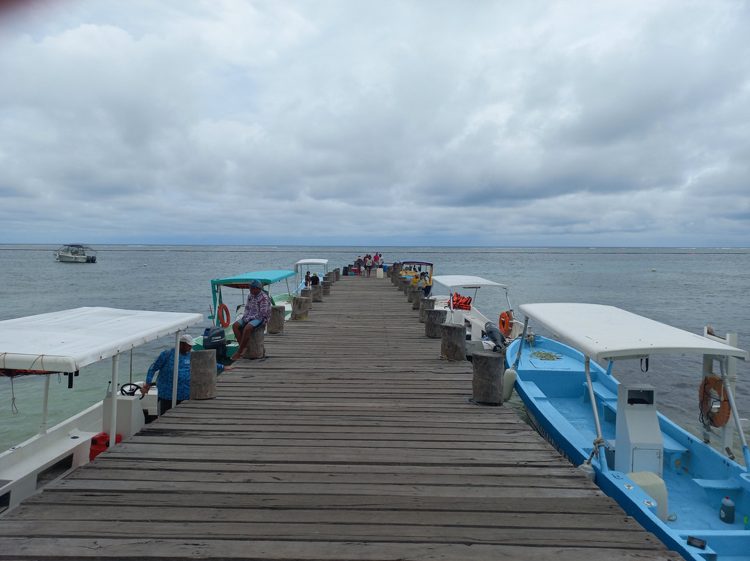 National Reef Park of Puerto Morelos-从莫雷洛斯港必去景点