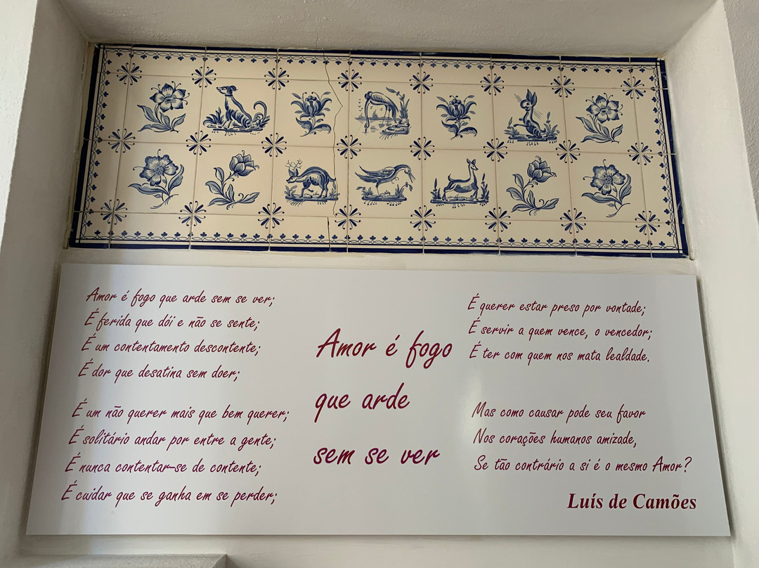 Casa Joao Chagas主图