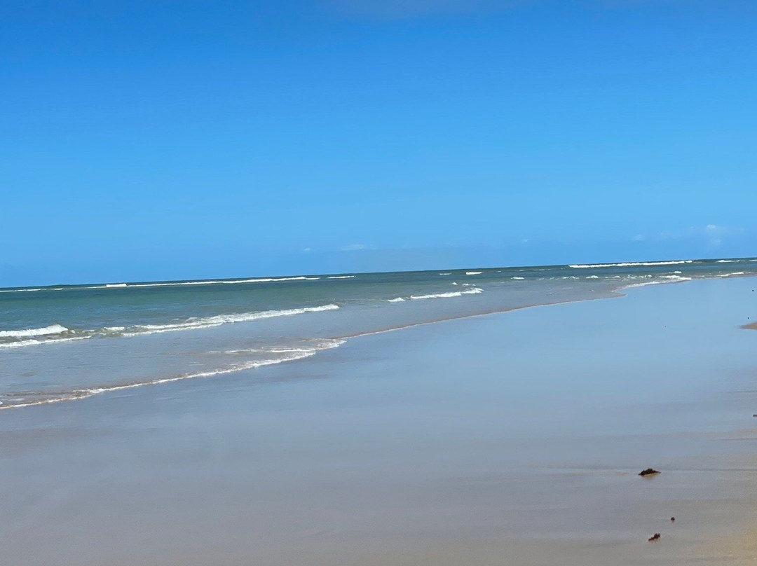 Ponta de Itaquena景点图片