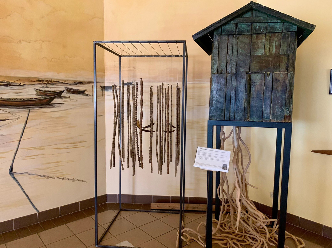 Le Musee de L'etang de Thau景点图片