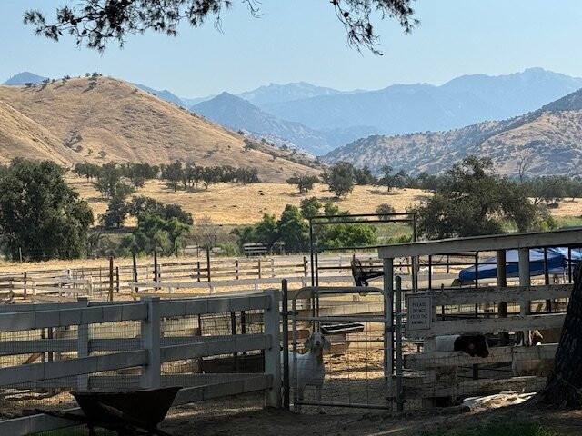 Lazy J Ranch Motel主图