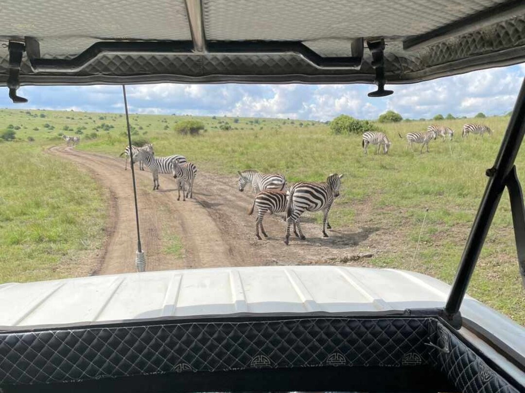 Masai Mara National Reserve-纳罗克必去景点