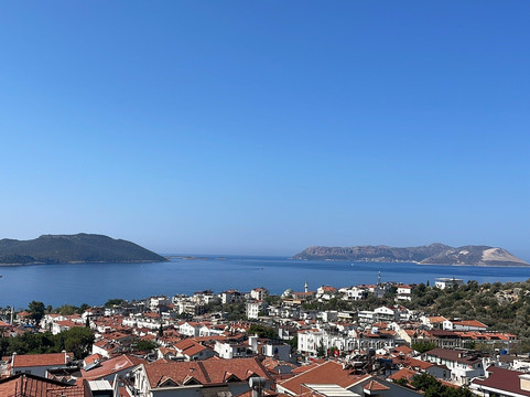 奥利奥酒店主图