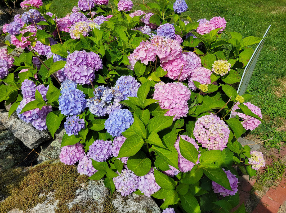 Porters Landing Guesthouse主图