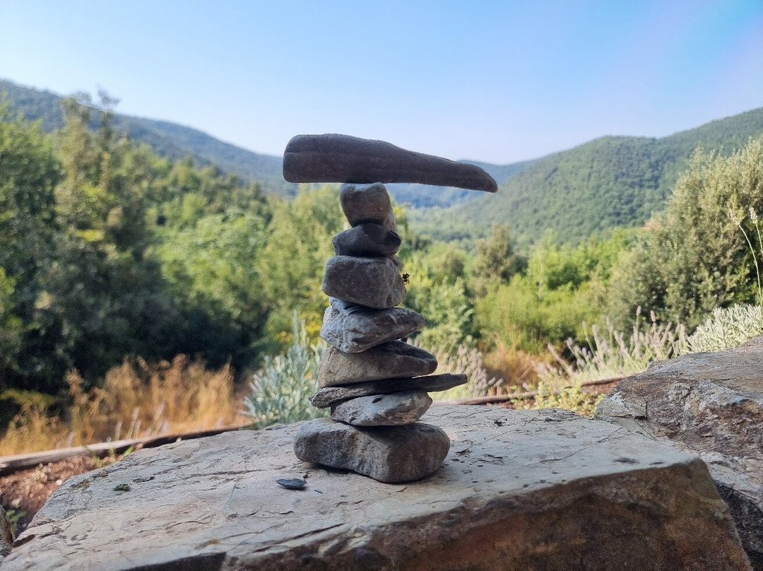 艾里米多阿尔玛度假酒店主图