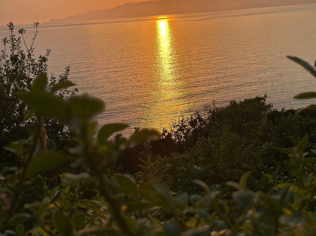 B&B Vista Mare主图