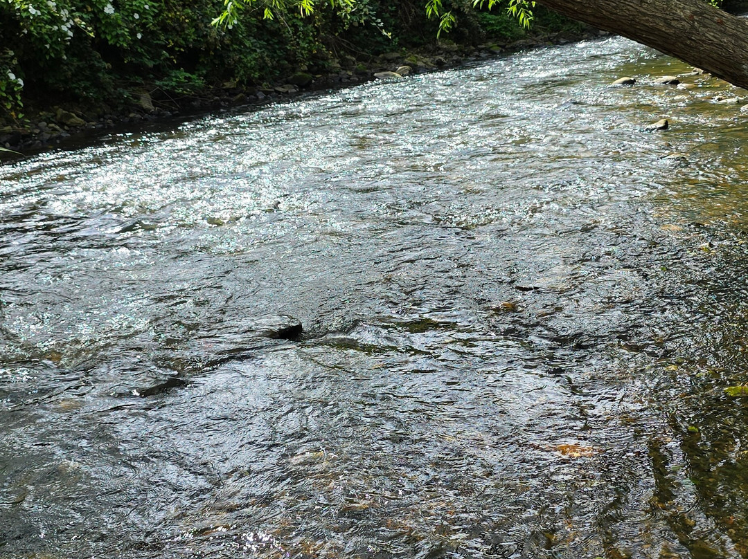 Alyn Waters Country Park-Gwersyllt必去景点