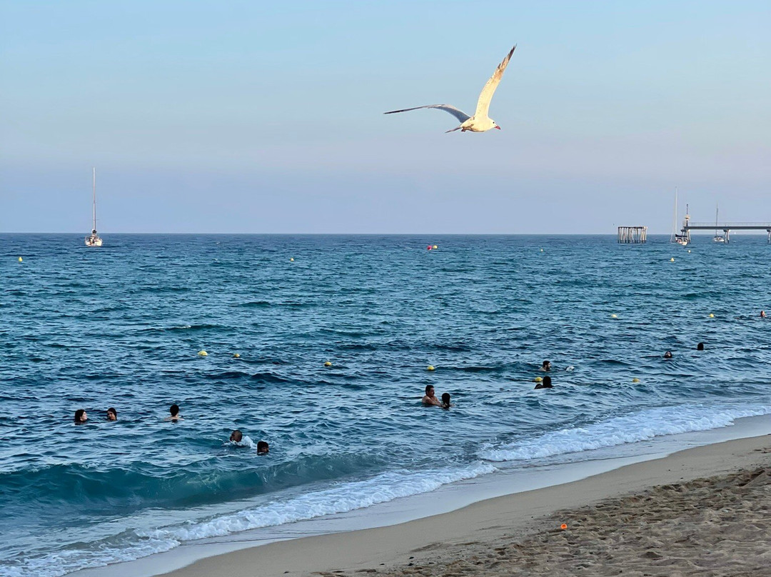 Badalona Beach景点图片