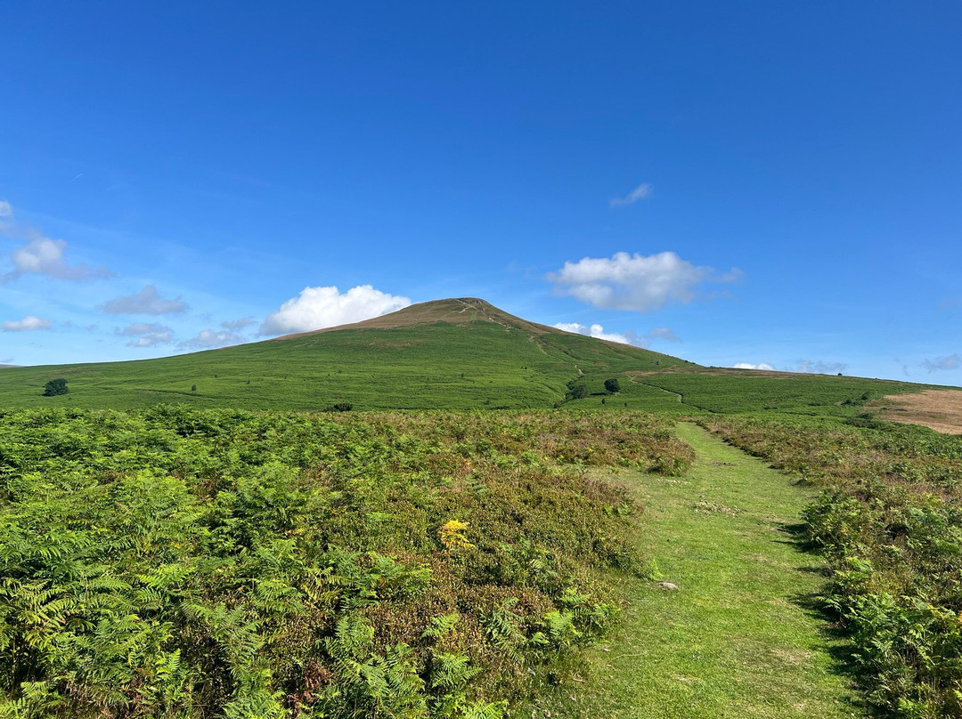 Sugarloaf Mountain景点图片