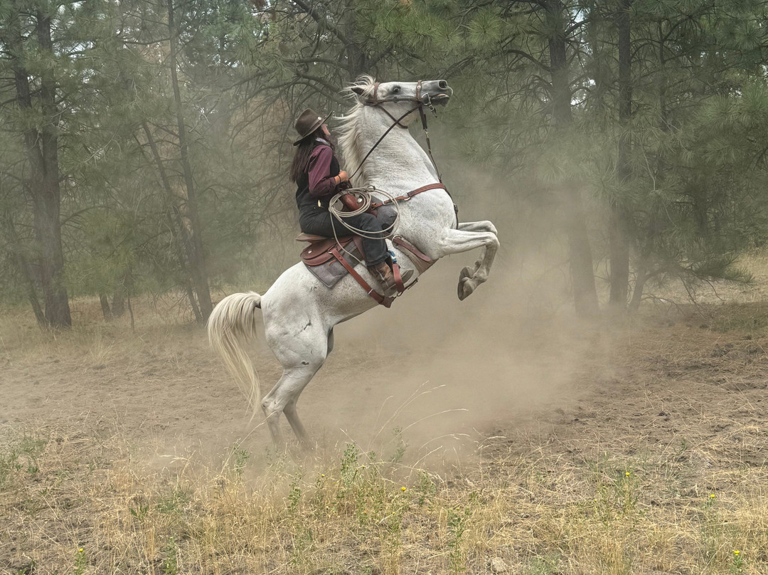 Kettle Valley Steam Railway-萨默兰必去景点