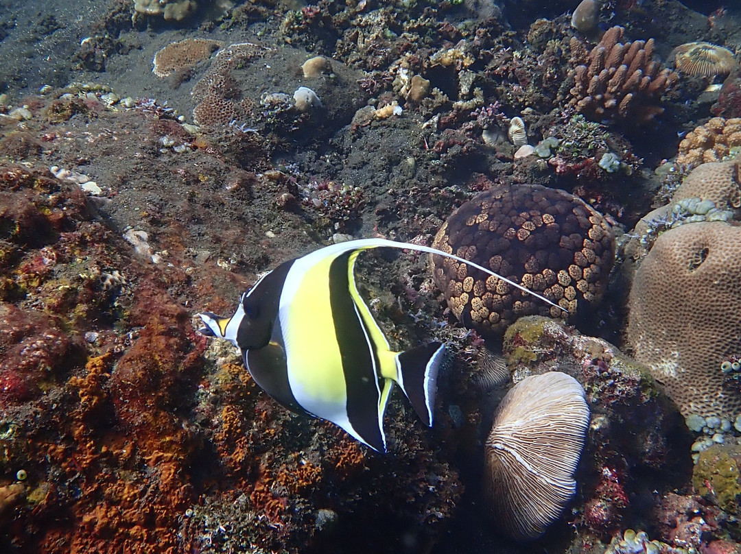 Baliberty私人潜水之旅-沙努尔必去景点