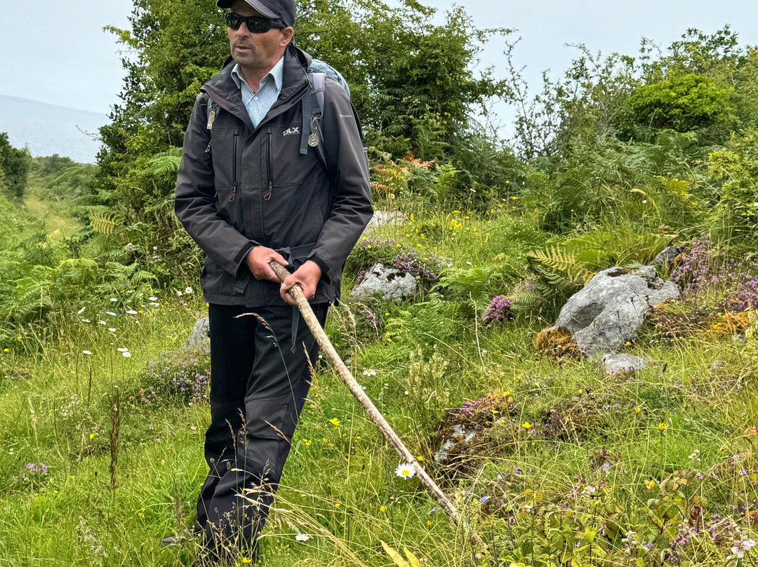 Sheedy's Hotel & Restaurant主图