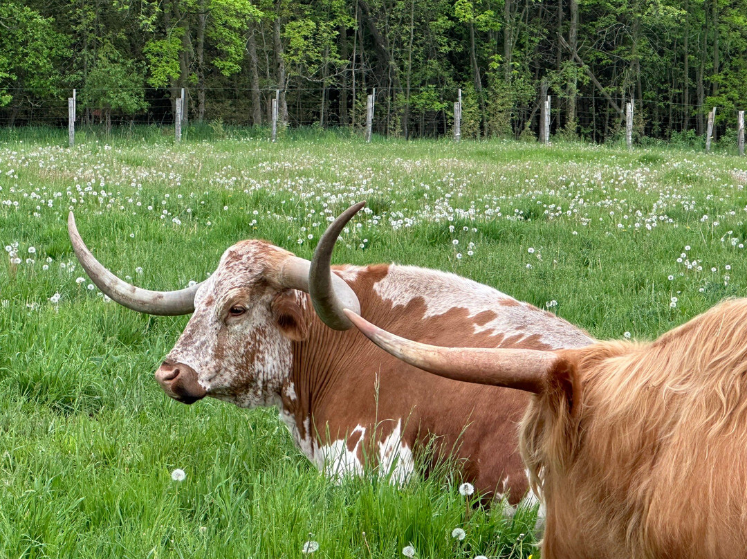 Doc's Zoo-Bonduel必去景点