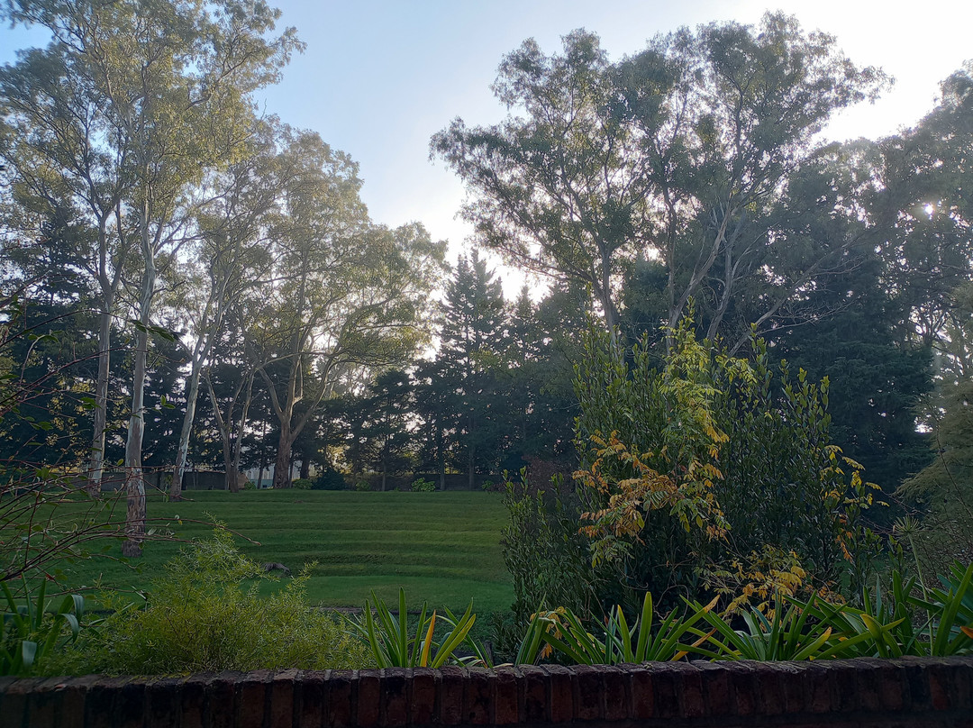 Hotel Del Bosque主图