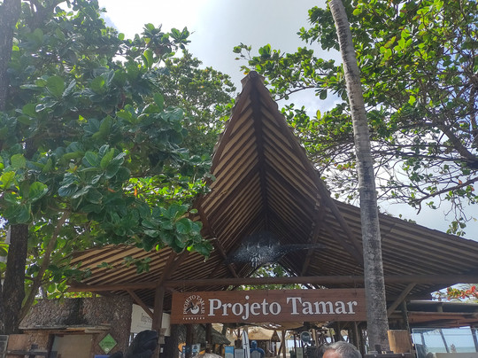 Adval Turismo-萨尔瓦多必去景点