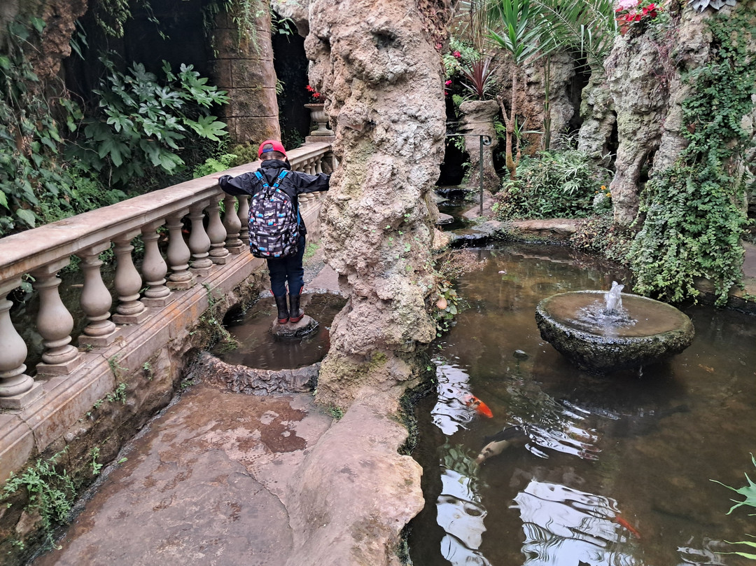 Dewstow Gardens and Grottoes景点图片
