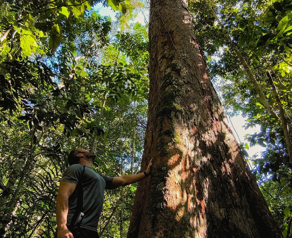 Turismo na Amazônia- Carverna do Maoraga-Presidente Figueiredo必去景点