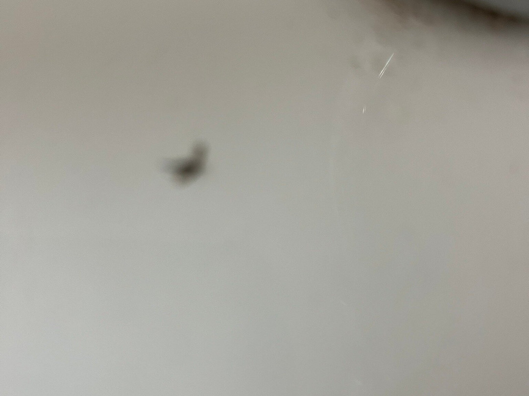 Travelodge Manchester Trafford Park主图