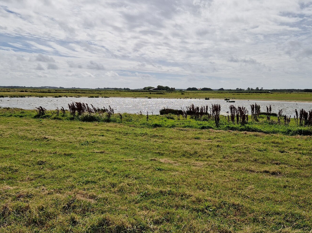 Natuurcentrum De Marel-De Waal必去景点