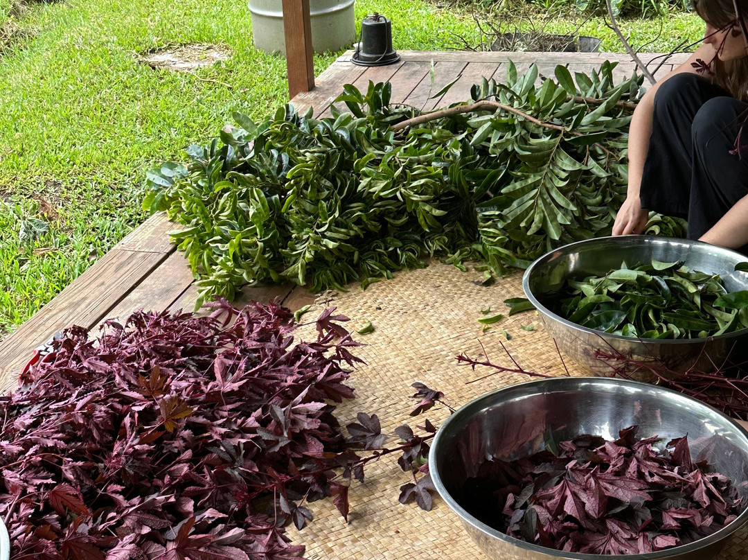 Kauai Farmacy-基拉韦厄必去景点