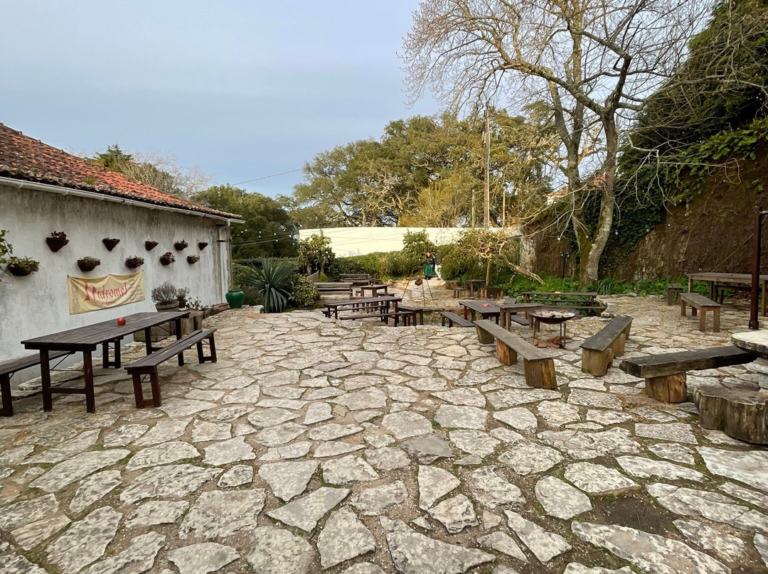 Pub Medieval Casa do Fauno景点图片