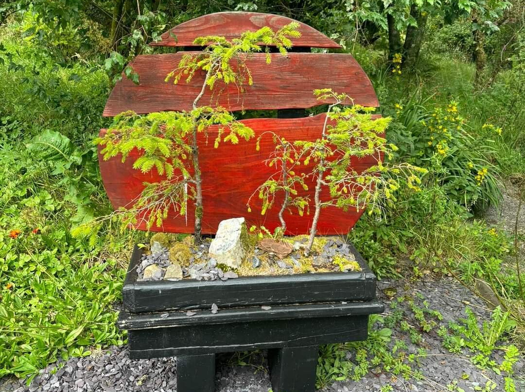 Bwlch y Geuffordd Gardens景点图片