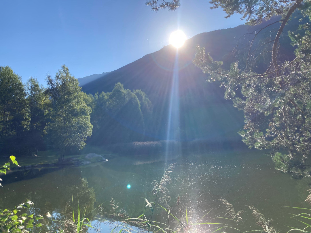 Hotel Tramserhof主图