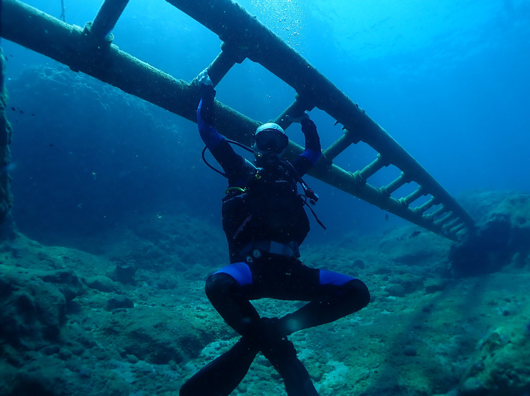 Kalypso Dive Center & School景点图片