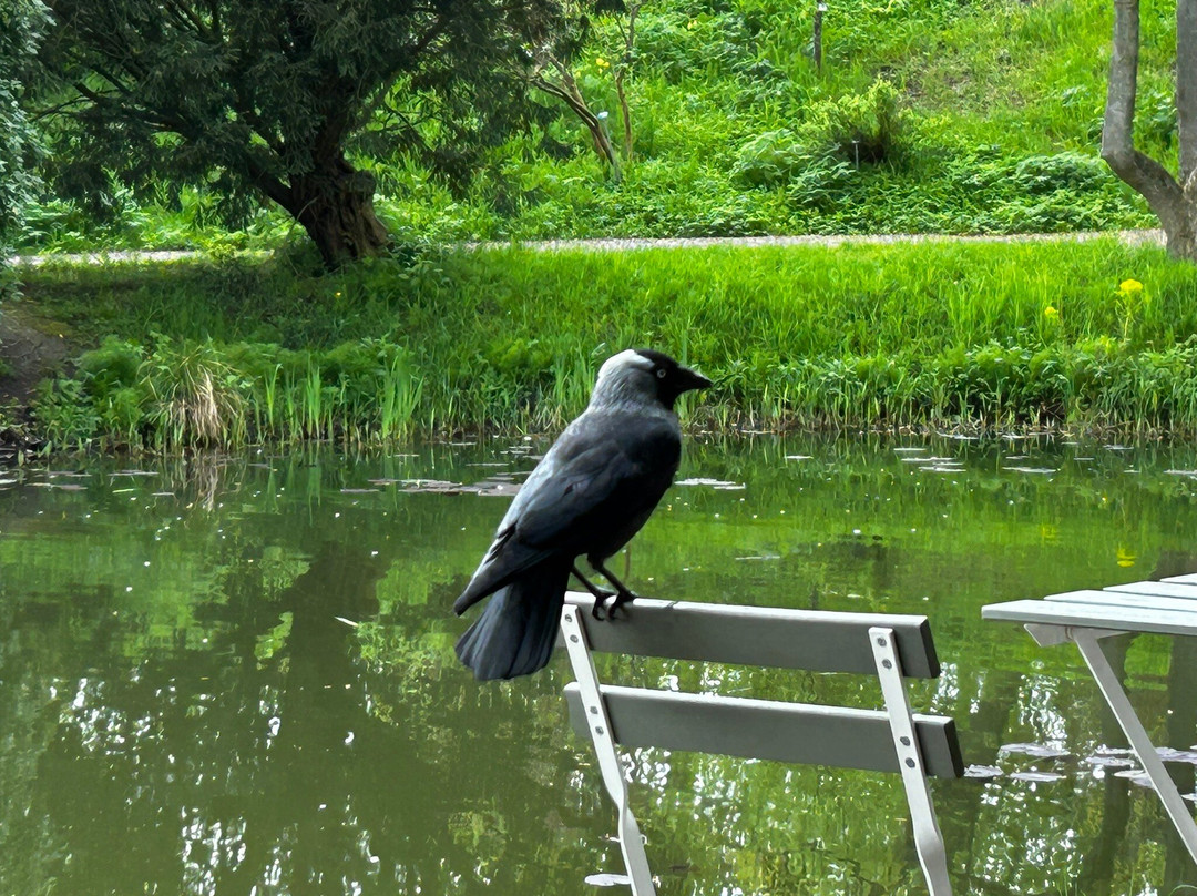 Botanical Gardens (Botaniska Tradgarden)-隆德必去景点