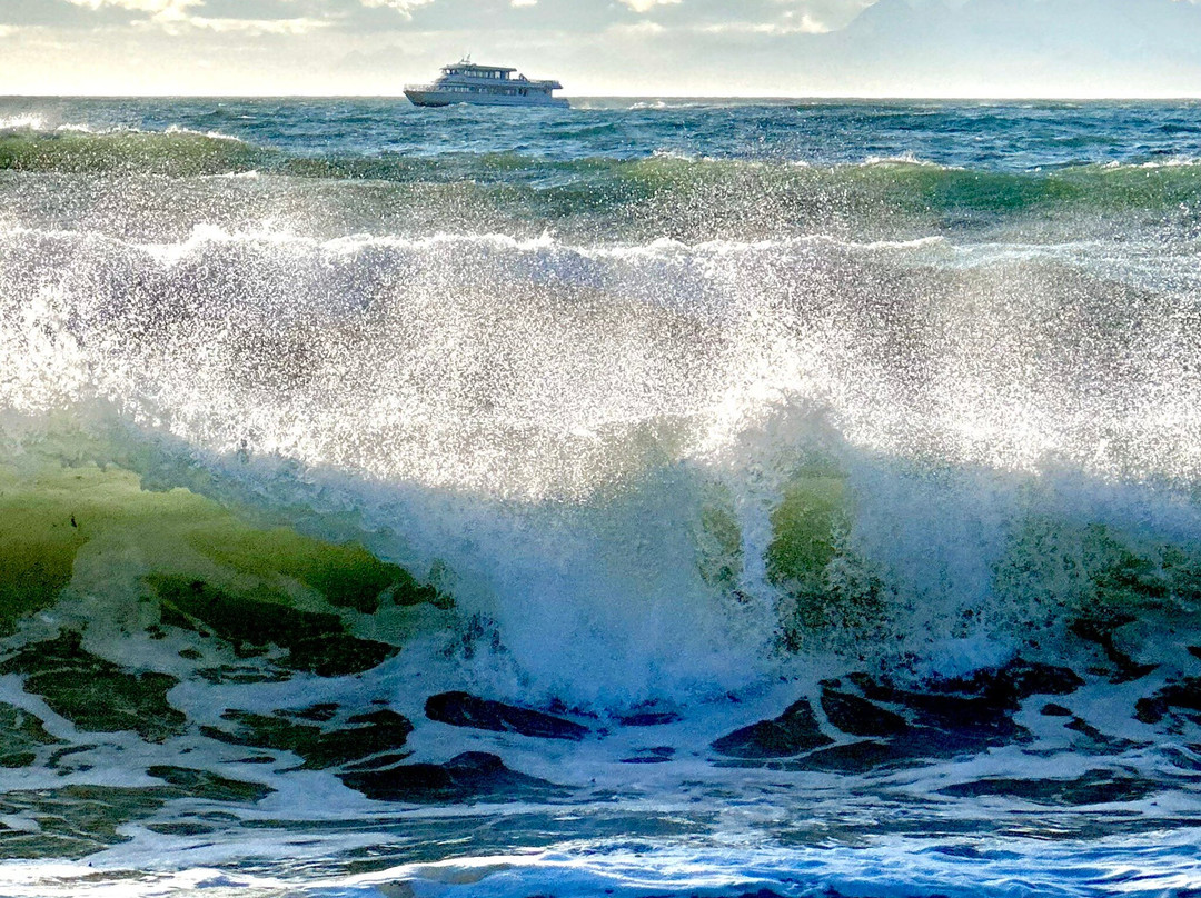 Seldovia Bay Ferry-荷马必去景点