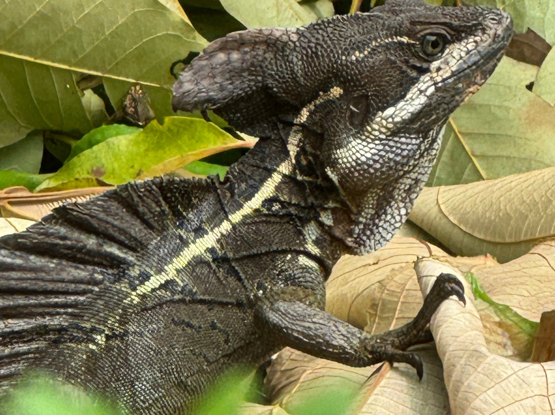 Pacheco Tours-德雷克湾必去景点