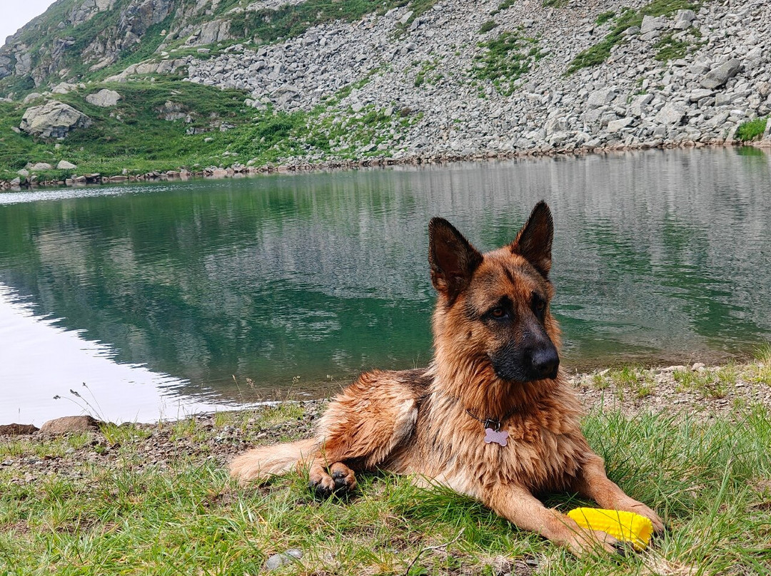 Lago del Mucrone景点图片