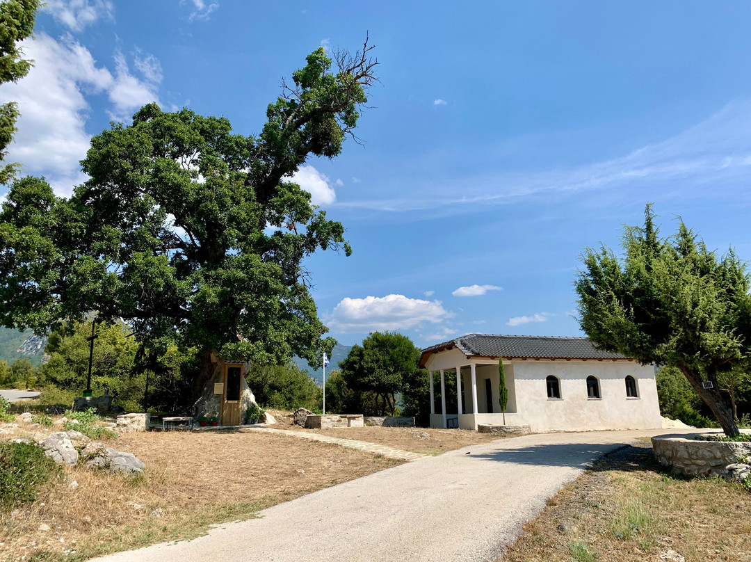 Tree Chapel Saint Paissiou-Agia Varvara必去景点