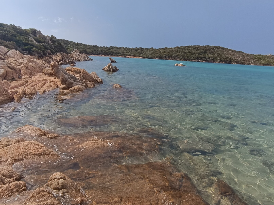 Spiaggia per Cani Doggie Beach di Caprera-Caprera必去景点