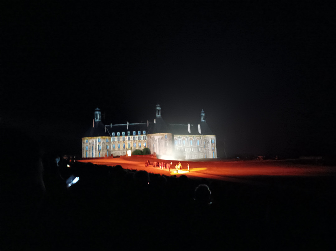 Castle of Saint Fargeau History Show景点图片