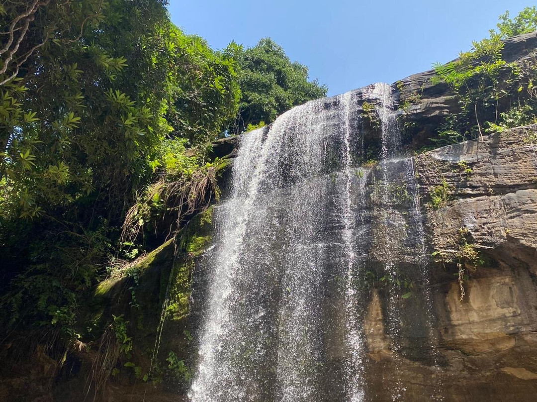 Sheldrick Falls-Kwale必去景点