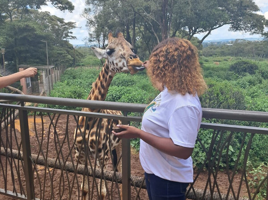 Eco Sure Trails-内罗毕必去景点